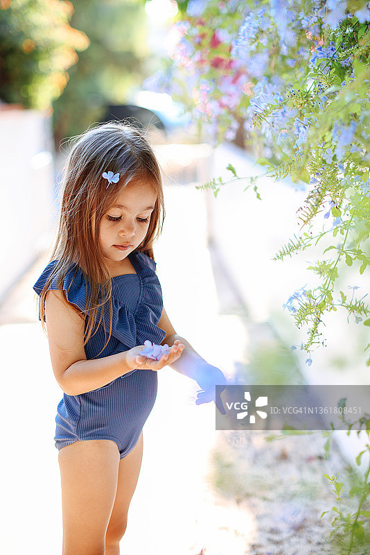 一个女孩的手谁收集蓝色的花在一个温暖的阳光灿烂的夏日草地上的花束。图片素材