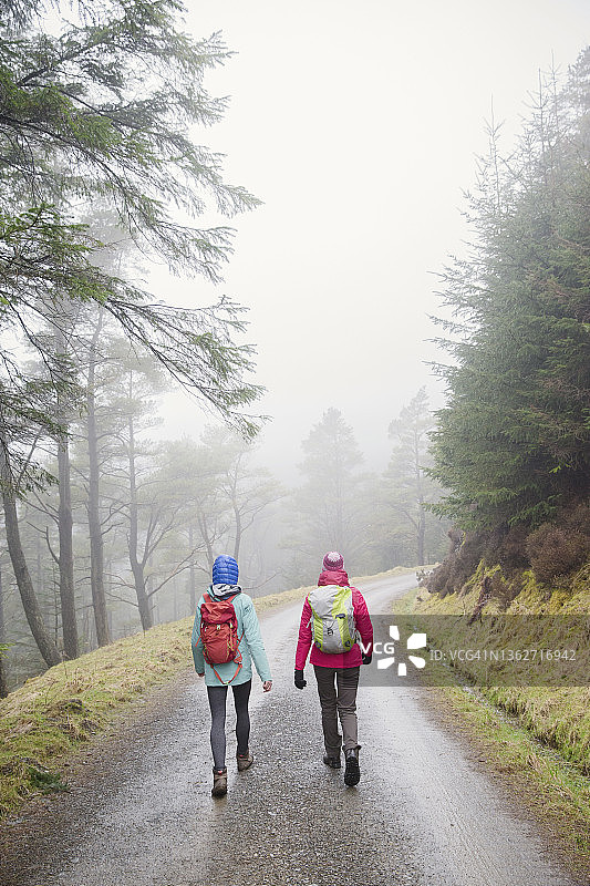 女人在阴雨绵绵的偏远树林里徒步行走图片素材