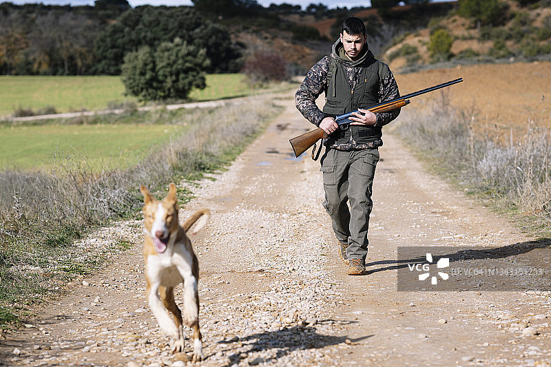 猎人带着他的狗穿过田野去打猎。图片素材