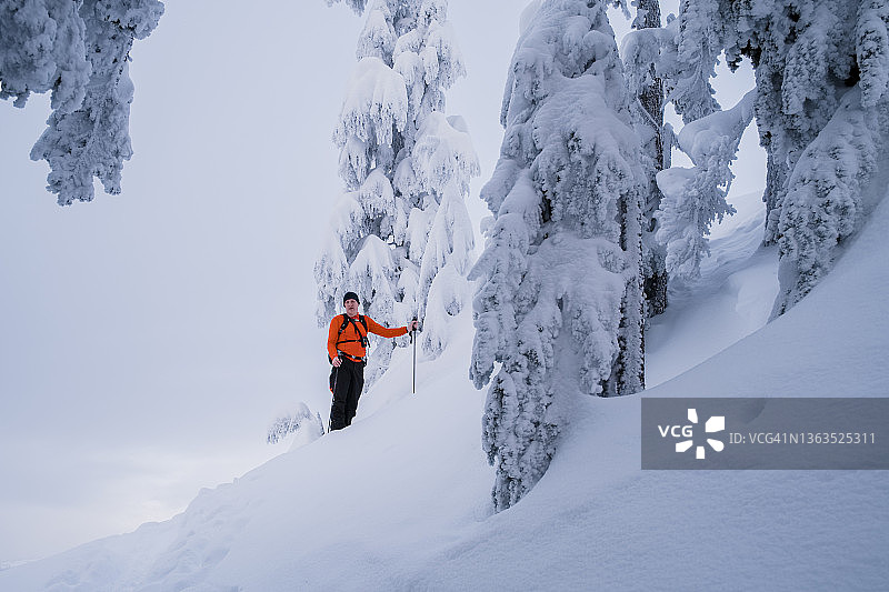 在BC省，一名男子通过陡峭的森林山坡进行野外滑雪旅行图片素材