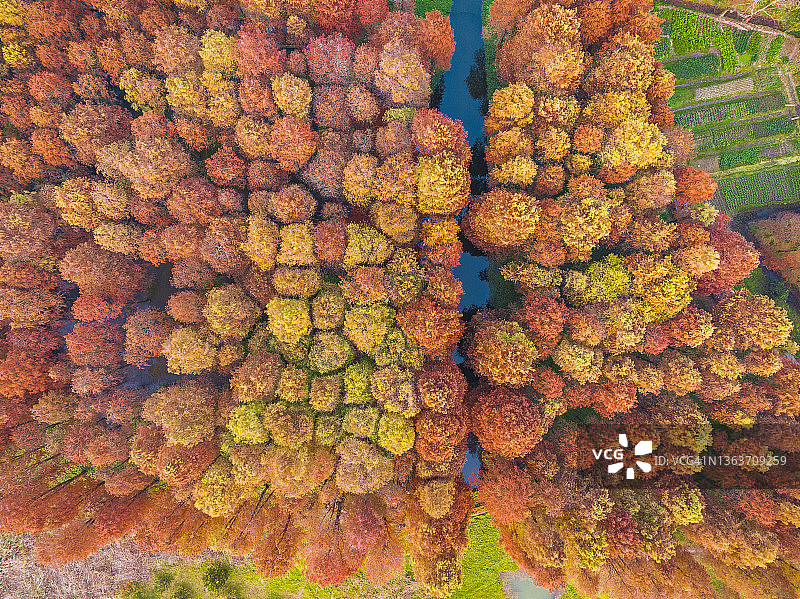 蜿蜒的道路穿过秋天的森林鸟瞰图图片素材