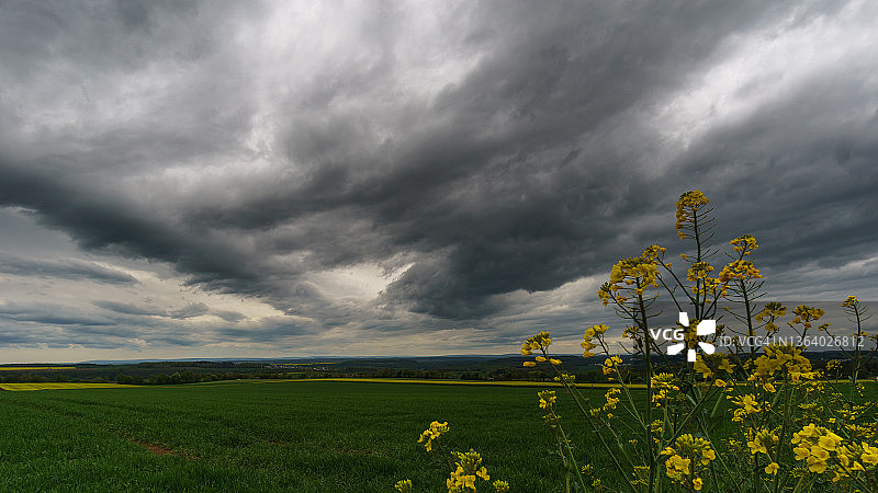 德国艾菲尔，农田上的雨和风暴云图片素材