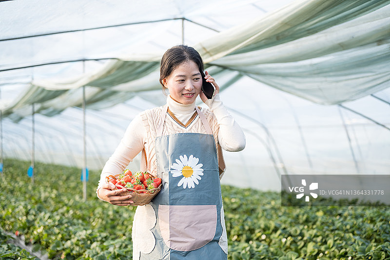 一个年轻漂亮的亚洲女人在摘草莓的时候打电话图片素材