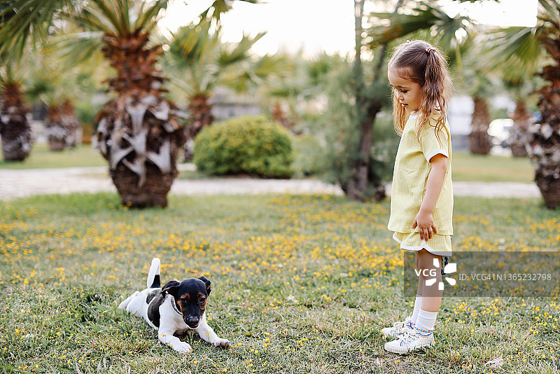 可爱的女孩和一只漂亮的狗在家里的花园里散步图片素材