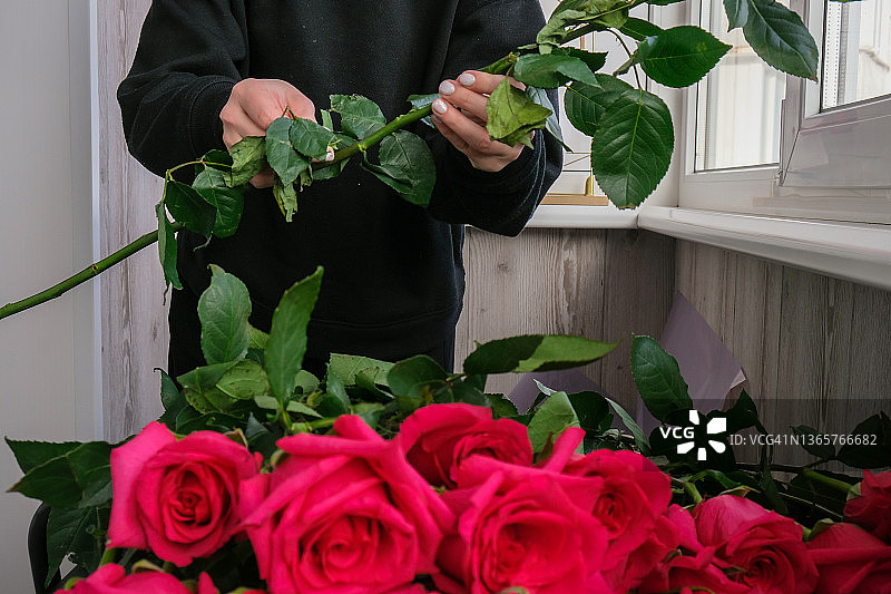 花商正在摆放一束粉红色的玫瑰。闭合花店工作切割玫瑰茎与修剪剪，而使组成安排。工作日在花店沙龙图片素材