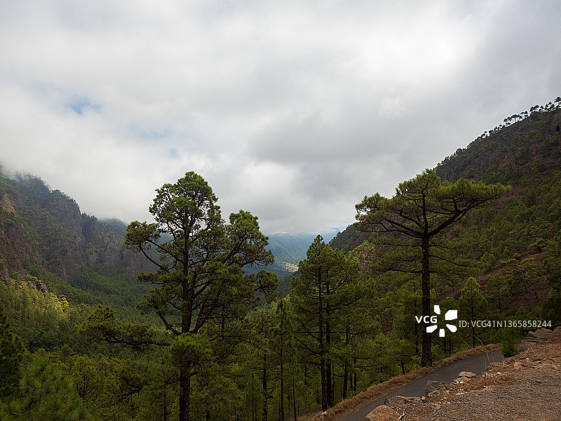 从La Cumbrecita看，Caldera del Taburiente国家公园，La Palma岛图片素材