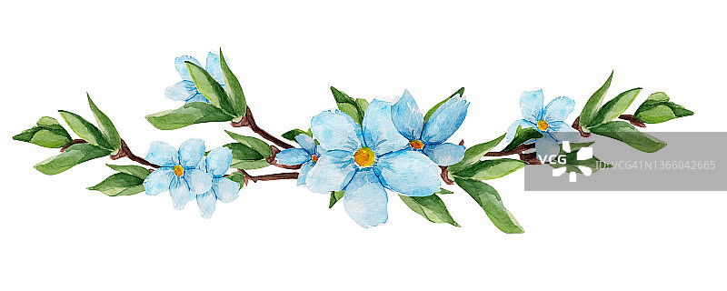 细枝边界与蓝色的花水彩孤立的插图图片素材