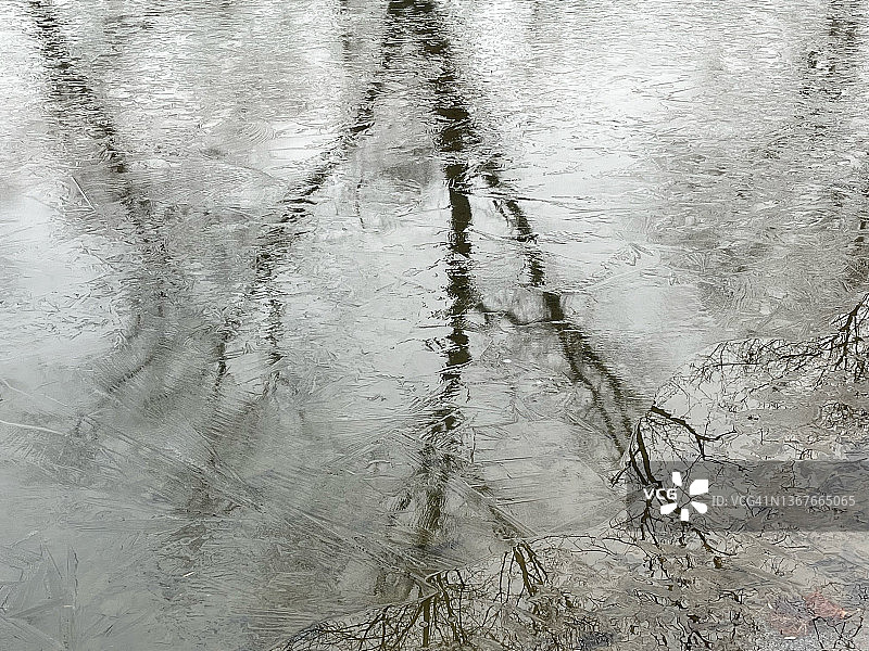光秃秃的冬季树枝投射在冰冻的小溪上的倒影图片素材
