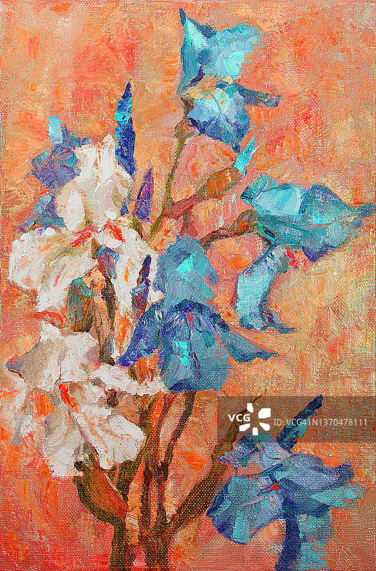 插图艺术品油画花卉景观盛开白色和蓝色的鸢尾花图片素材