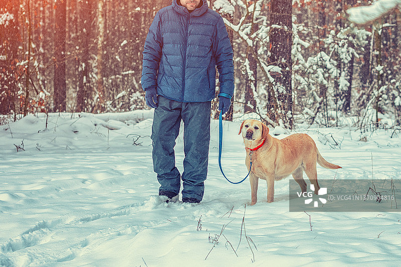 快乐的男人带着狗在冬天的雪森林里散步图片素材