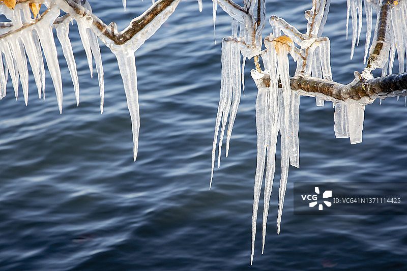 湖边的树上挂着冰脊图片素材