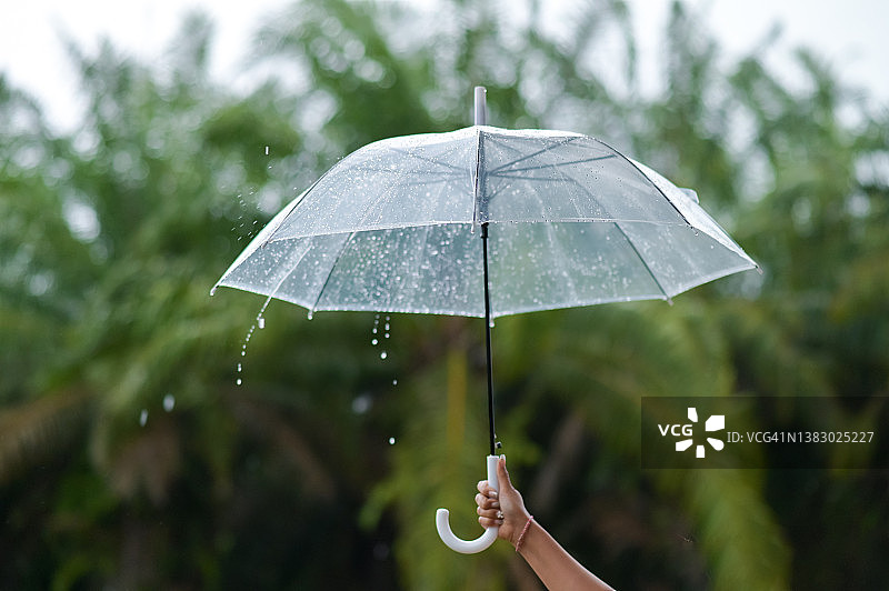 雨下得很大，雨季要撑伞图片素材