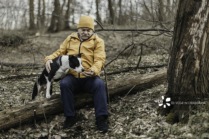 一个老人带着狗在秋天的大自然中散步图片素材