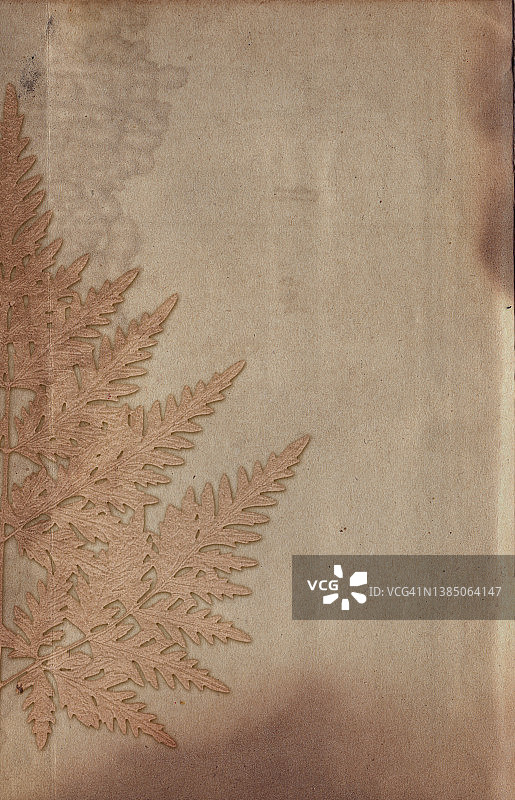 旧的复古粗纸背景与植物浮雕纹理图片素材