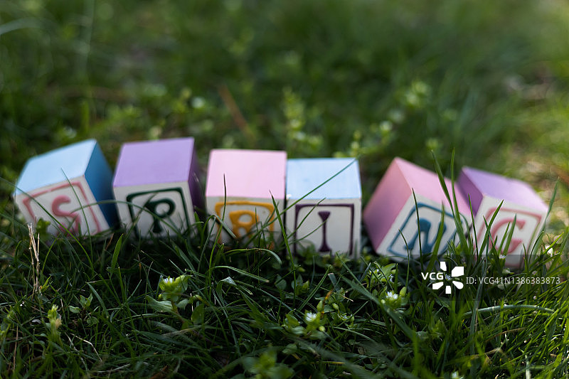 在绿草中，传统的木块拼出了“春天”这个词图片素材