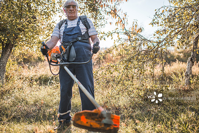 一位享受退休生活的老人修剪草坪，整理院子图片素材