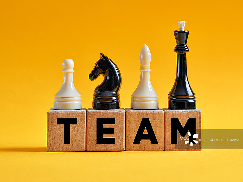 单词组在不同棋子的木方块上。业务团队合作和多元化战略图片素材