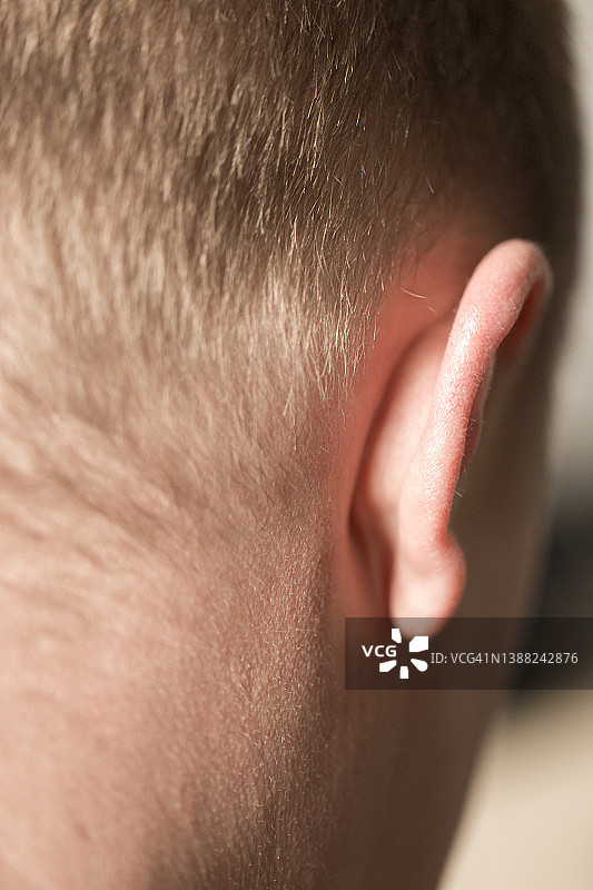 男性头、耳和颈的后面图片素材