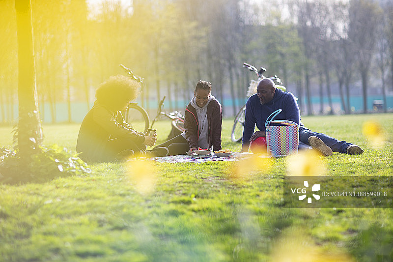 父亲和十几岁的孩子在阳光明媚的公园里野餐图片素材