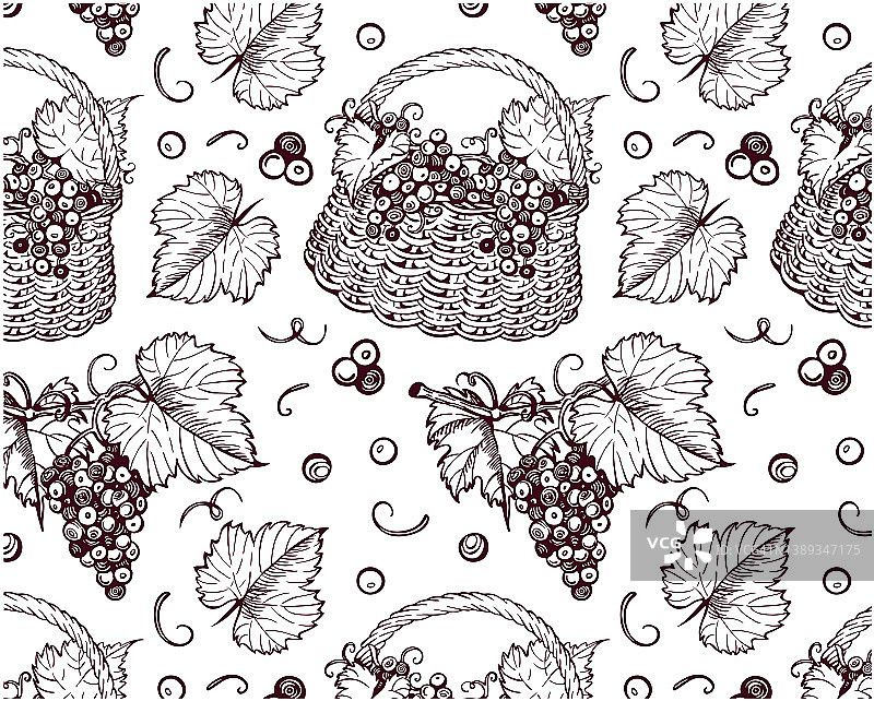一串串葡萄的素描图案与叶子在篮子孤立在白色背景上。图片素材