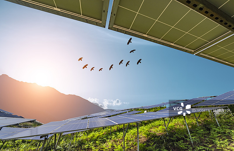 一大群鸟飞过山脉的太阳能发电厂图片素材
