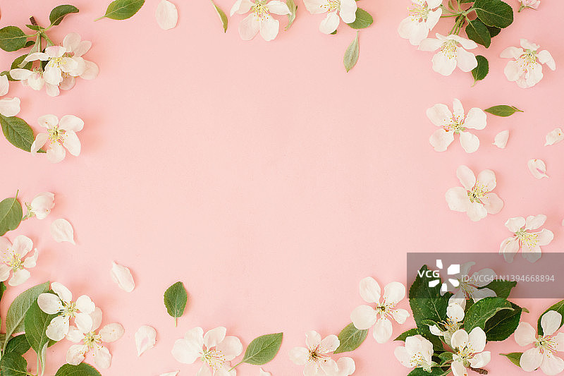 苹果树白色花在粉红色的背景与复制空间。问候春夏贺卡。粉色花母亲节卡片。图片素材