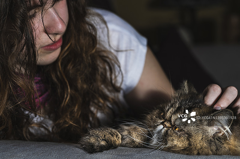 一个十几岁的女孩享受着她的宠物波斯猫的陪伴。图片素材