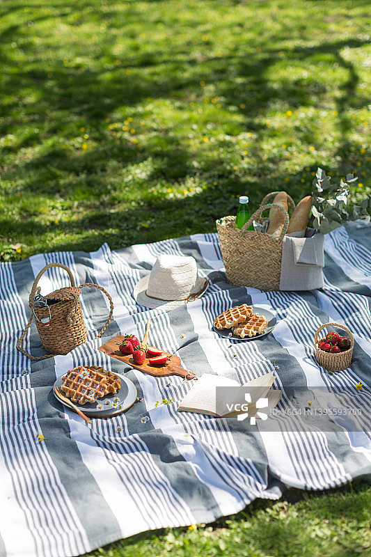 在公园野餐，吃浆果和华夫饼图片素材