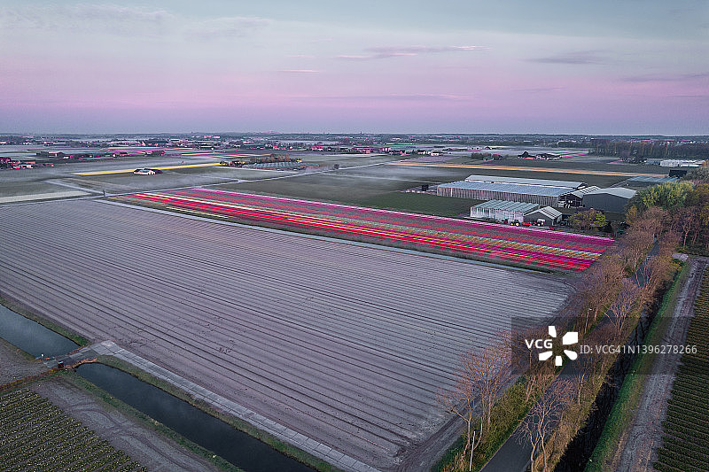 航拍的彩色郁金香田在库肯霍夫，利瑟在荷兰的日出图片素材
