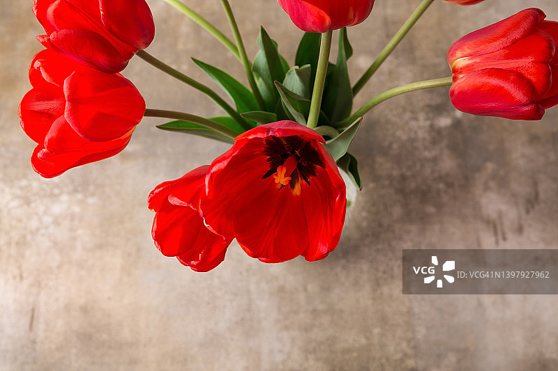 黑色背景上的红色郁金香花束。母亲节或妇女节的贺卡。图片素材