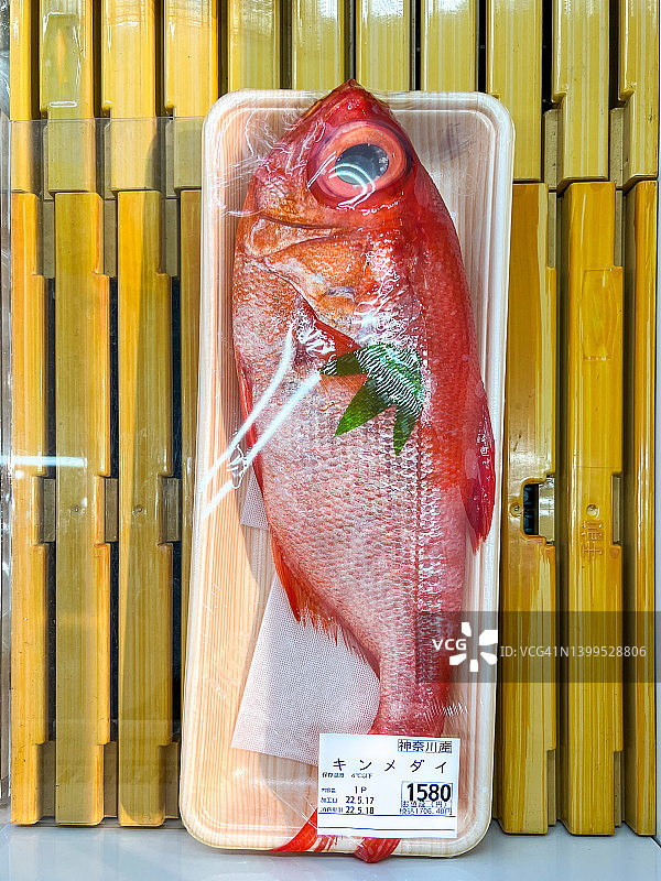 金眼鲷(Beryx splendens)，神奈川本地鱼图片素材