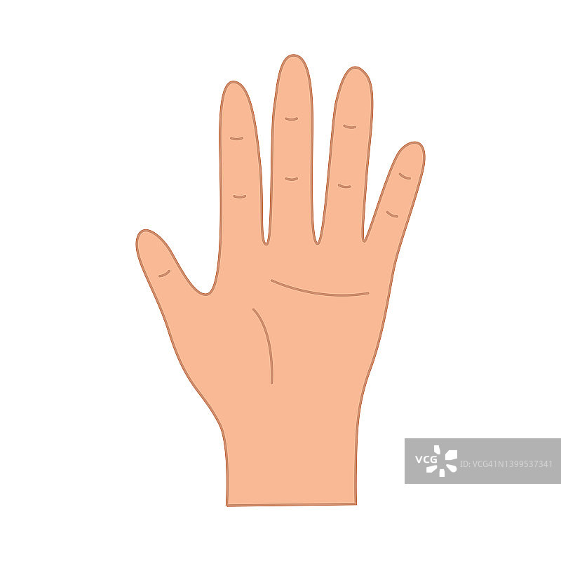 掌心五个手指朝上。手势的问候，矢量插图孤立在白色。图片素材