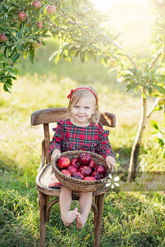 秋天，孩子们在农场上摘苹果。小女孩在苹果树园里玩耍。健康营养图片素材