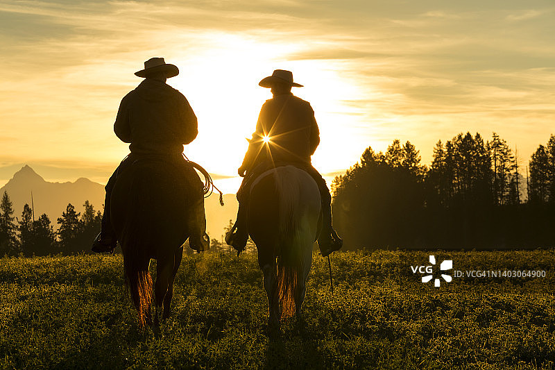 日出时，加拿大不列颠哥伦比亚省的牛仔骑在马上图片素材