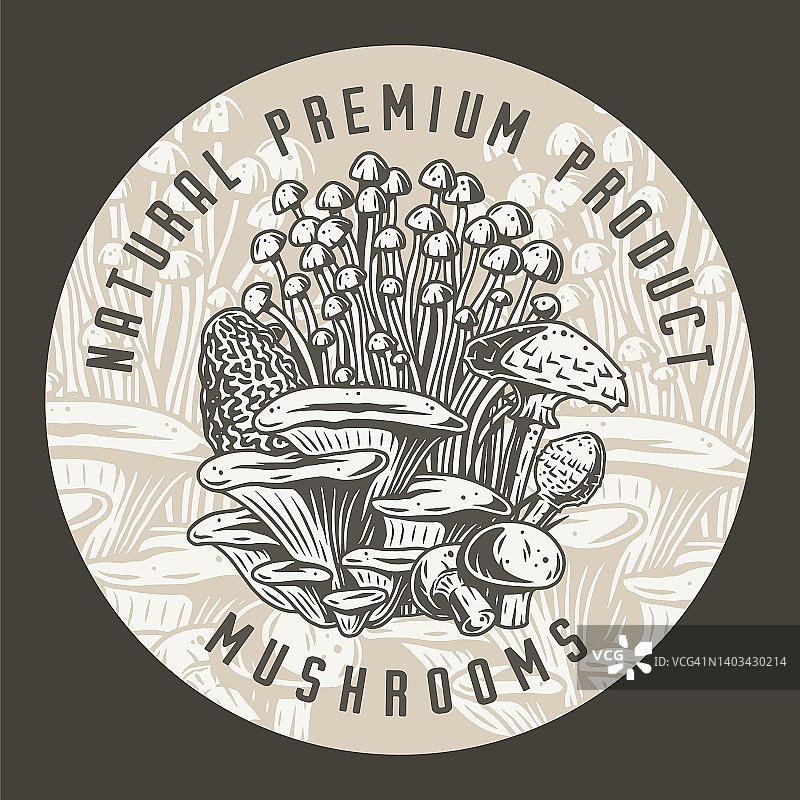 秋季森林蘑菇采摘，素食菜单套装图片素材