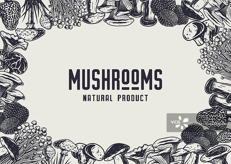 秋季森林蘑菇采摘，素食菜单框架图片素材