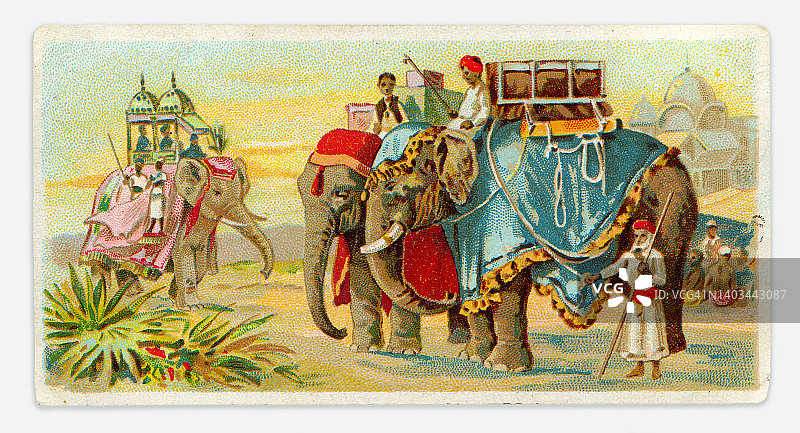 印度人骑着两头大象的新艺术插画图片素材