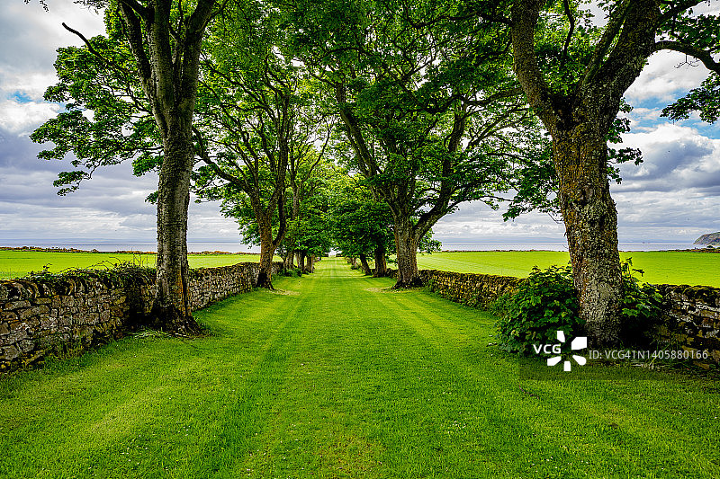 在苏格兰，绿树成荫的草地人行道图片素材