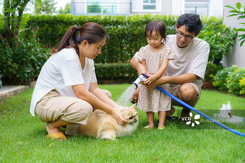 幸福的亚洲家庭，爸爸，妈妈和女儿在家里的花园里给狗洗澡，图片素材