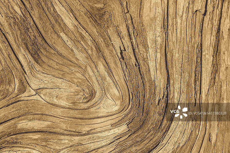 暖色调的天然木材纹理图片素材