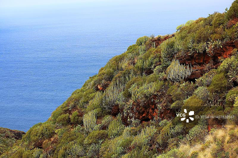 在Las Cuevas de Aqua地区的景观，火山岩石与植物在岛的西北部，拉帕尔马，加那利岛，西班牙图片素材