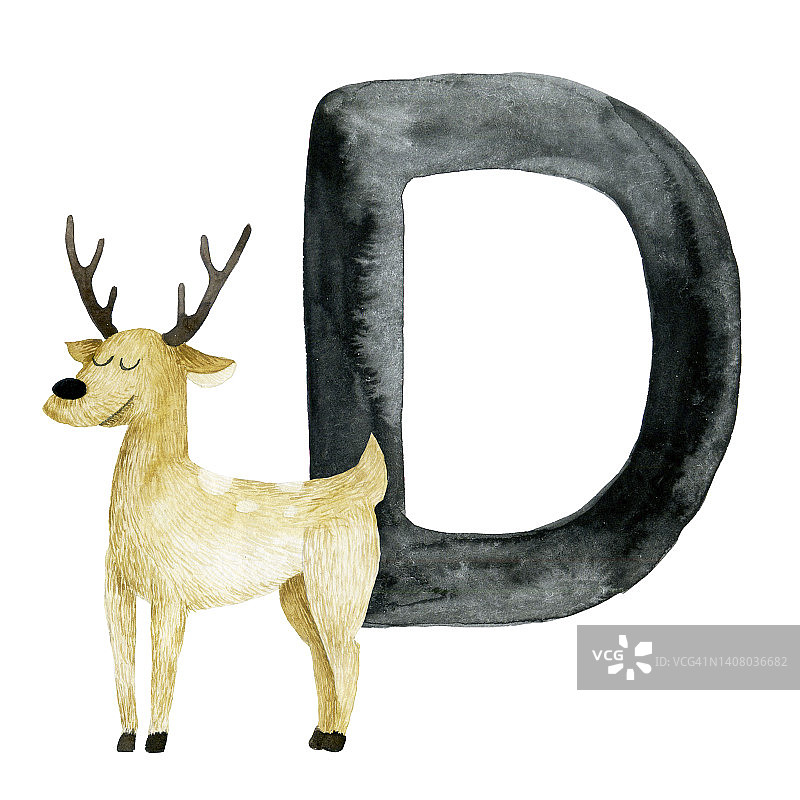 水彩绘画。教育卡片上有字母D，英语字母表。字母D和小鹿的图画，可爱的森林动物图片素材
