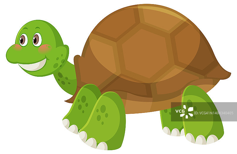 可爱简单的白底乌龟卡通图片素材