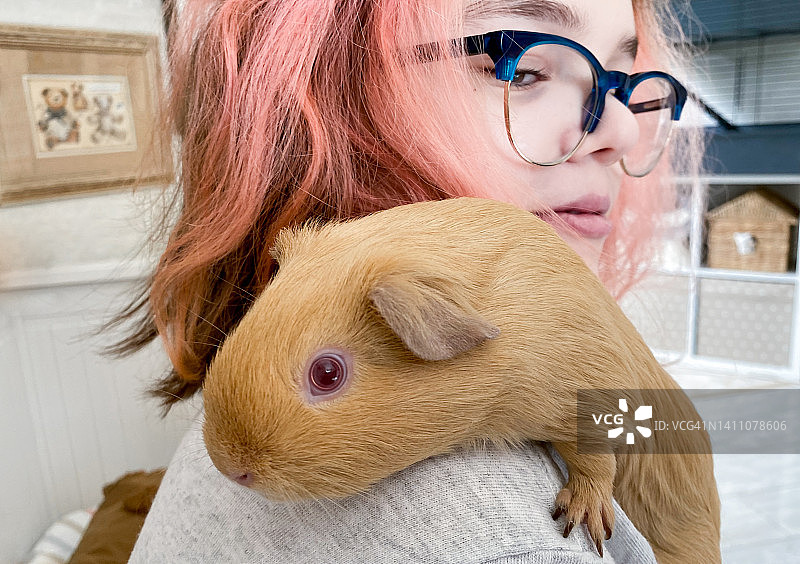 橙色的豚鼠，红色的眼睛，坐在少女的肩膀上，粉红色的头发和眼镜图片素材