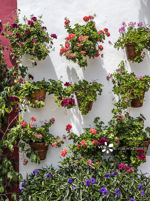 白色立面，木制阳台，点缀着花盆。图片素材