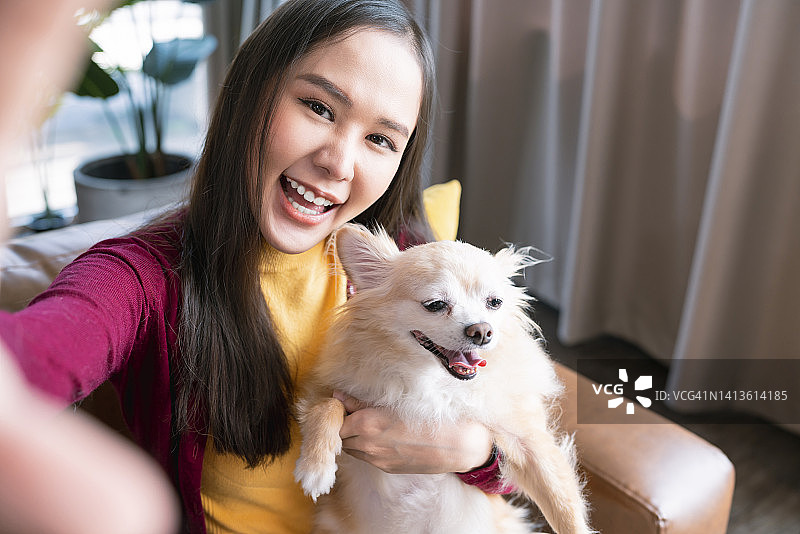 微笑迷人的亚洲女性坐在沙发上拥抱拥抱，与狗狗玩耍，狗主人和吉娃娃哈巴狗一起度过周末快乐的假期时间在家里图片素材