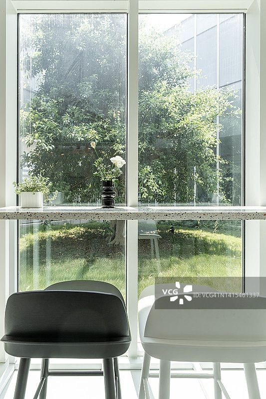 玻璃窗前的绿色植物和外面的树图片素材