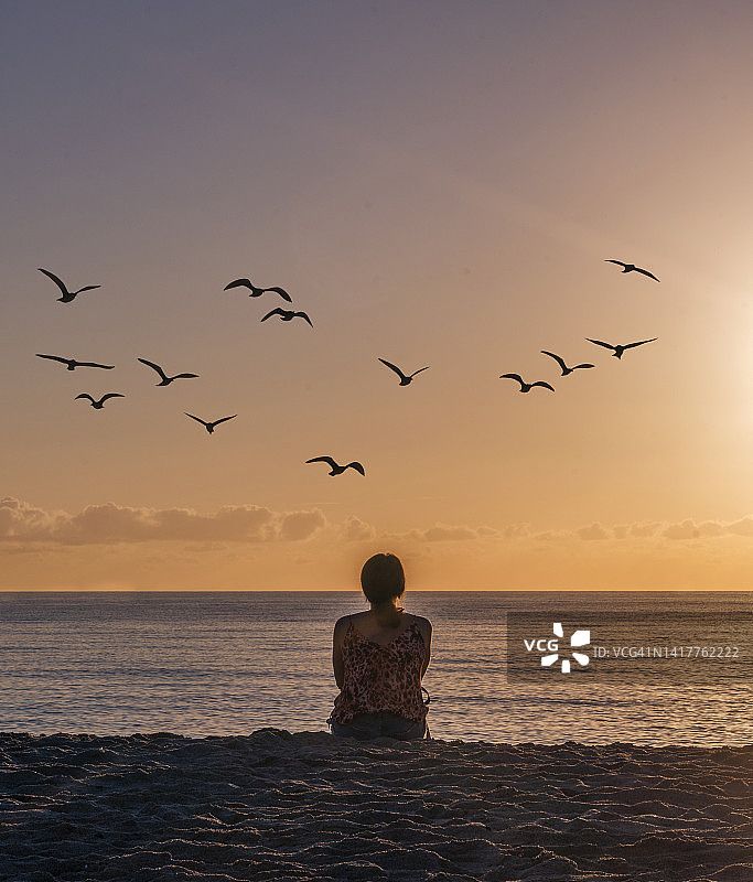 一个女人在海滩上看日落时的鸟群图片素材