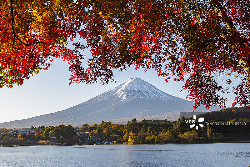 日本的富士山和秋天的红枫叶图片素材