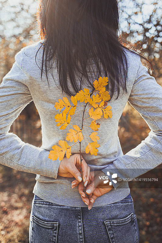 年轻女子的背影握着山楂枝黄秋叶图片素材